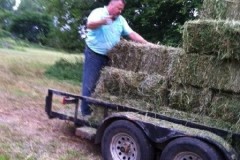 bale-hay-2015.1