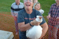 geese-wrangling-2016-3