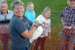 geese-wrangling-2016-4